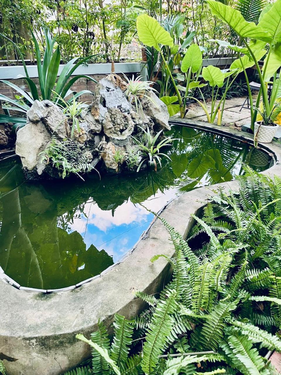 An An Homestay Bungalow Phong Nha Luaran gambar